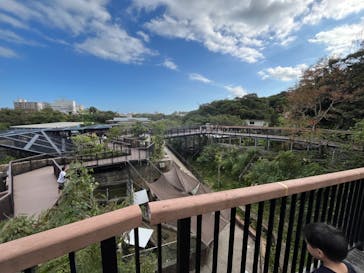 沖縄こどもの国に投稿された画像（2024/2/1）