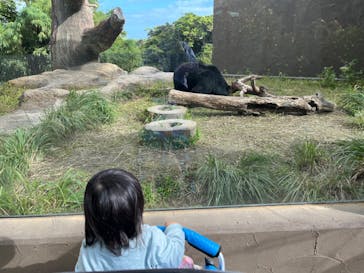 沖縄こどもの国に投稿された画像（2024/2/1）