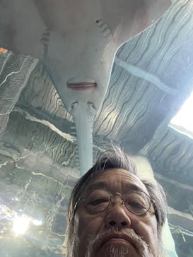 マクセル アクアパーク品川に投稿された画像（2024/2/1）