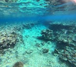 石垣島 ADVENTURE PiPi（イシガキジマアドベンチャーピピ）に投稿された画像（2024/2/1）