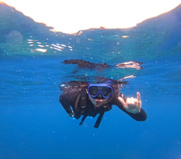 石垣島 ADVENTURE PiPi（イシガキジマアドベンチャーピピ）に投稿された画像（2024/2/1）