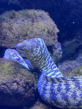 横浜・八景島シーパラダイスに投稿された画像（2024/2/1）