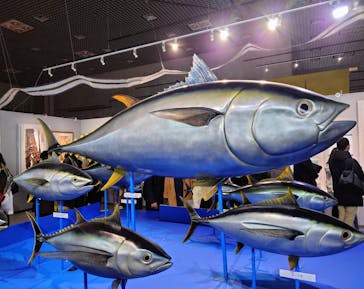 特別展「和食 ～日本の自然、人々の知恵～」に投稿された画像（2024/2/1）