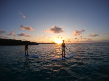 宮古島 ADVENTURE PiPi（ミヤコジマ アドベンチャー ピピ）に投稿された画像（2024/2/1）