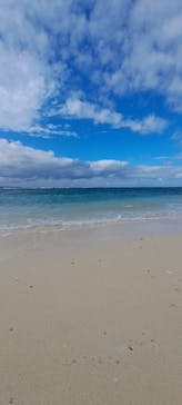 沖縄美ら海水族館に投稿された画像（2024/2/1）