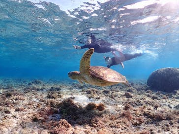 ちゃこたびに投稿された画像（2024/2/1）