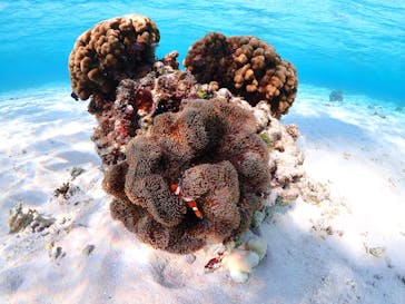 ちゃこたびに投稿された画像（2024/2/1）