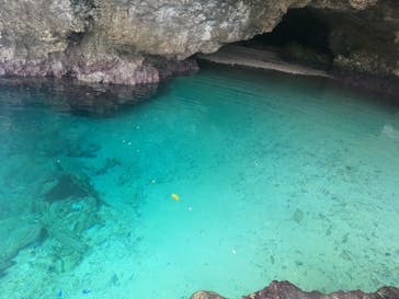 石垣島 ADVENTURE PiPi（イシガキジマアドベンチャーピピ）に投稿された画像（2024/2/1）