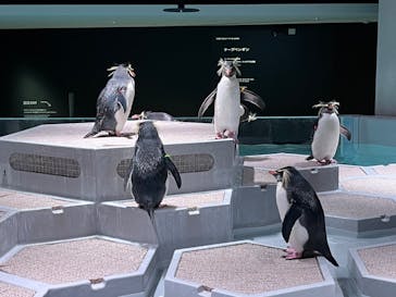 AOAO SAPPOROに投稿された画像（2024/2/2）