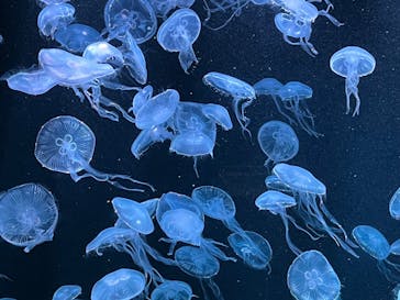 AOAO SAPPOROに投稿された画像（2024/2/2）