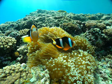 武藤潜水に投稿された画像（2024/2/2）