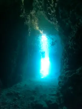 武藤潜水に投稿された画像（2024/2/2）