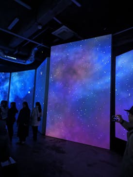 ゴッホ・アライブに投稿された画像（2024/2/2）