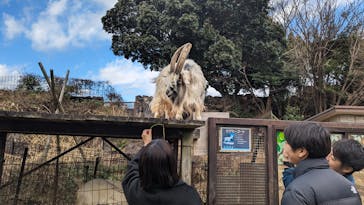 伊豆ぐらんぱる公園に投稿された画像（2024/2/2）