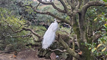 伊豆ぐらんぱる公園に投稿された画像（2024/2/2）