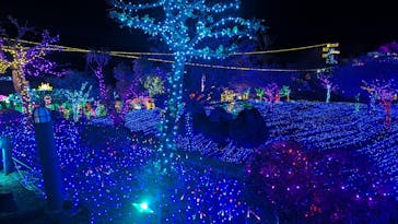 伊豆ぐらんぱる公園に投稿された画像（2024/2/2）