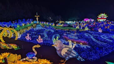 伊豆ぐらんぱる公園に投稿された画像（2024/2/2）