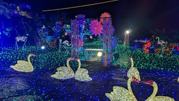 伊豆ぐらんぱる公園に投稿された画像（2024/2/2）