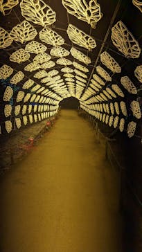 伊豆ぐらんぱる公園に投稿された画像（2024/2/2）