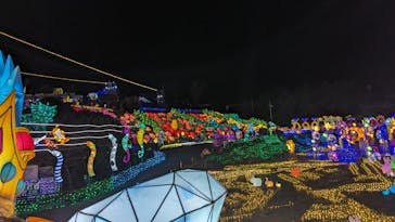 伊豆ぐらんぱる公園に投稿された画像（2024/2/2）