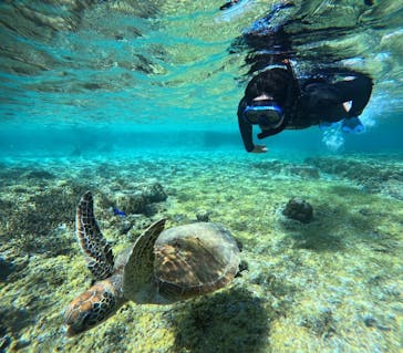 宮古島 ADVENTURE PiPi（ミヤコジマ アドベンチャー ピピ）に投稿された画像（2024/2/2）