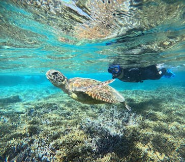 宮古島 ADVENTURE PiPi（ミヤコジマ アドベンチャー ピピ）に投稿された画像（2024/2/2）