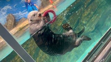 マリンワールド海の中道に投稿された画像（2024/2/2）