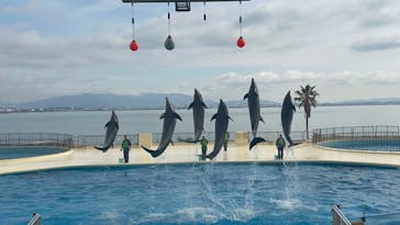 マリンワールド海の中道に投稿された画像（2024/2/2）