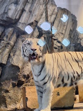 NIFREL（ニフレル）に投稿された画像（2024/2/2）