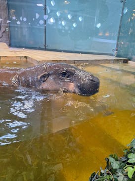 NIFREL（ニフレル）に投稿された画像（2024/2/2）