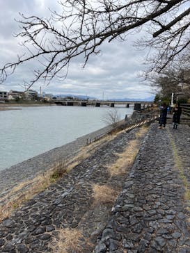 京阪電車に投稿された画像（2024/2/2）