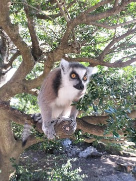 伊豆シャボテン動物公園に投稿された画像（2024/2/2）