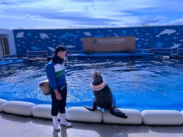 仙台うみの杜水族館に投稿された画像（2024/2/2）