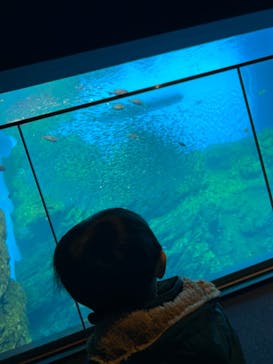 仙台うみの杜水族館に投稿された画像（2024/2/2）