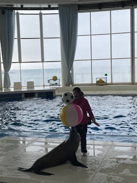 アクアワールド茨城県大洗水族館に投稿された画像（2024/2/2）