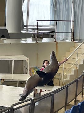 アクアワールド茨城県大洗水族館に投稿された画像（2024/2/2）