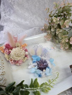 ずこうしつ〜sugamo〜に投稿された画像（2024/2/2）