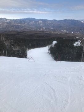 信州開田高原マイアスキー場に投稿された画像（2024/2/2）