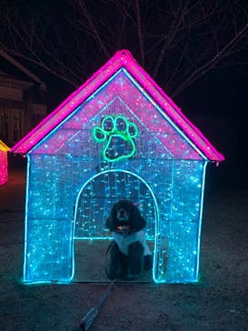 神戸イルミナージュに投稿された画像（2024/2/2）