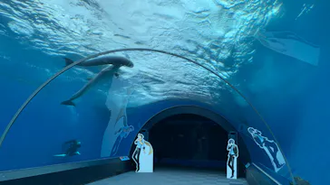 横浜・八景島シーパラダイスに投稿された画像（2024/2/2）