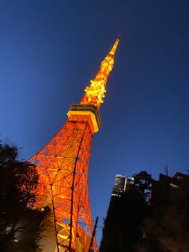 東京タワーに投稿された画像（2024/2/2）