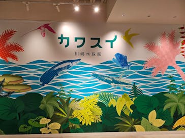 カワスイ 川崎⽔族館に投稿された画像（2024/2/3）