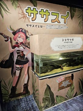 カワスイ 川崎⽔族館に投稿された画像（2024/2/3）