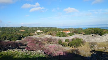 今帰仁城跡に投稿された画像（2024/2/3）