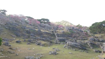 今帰仁城跡に投稿された画像（2024/2/3）