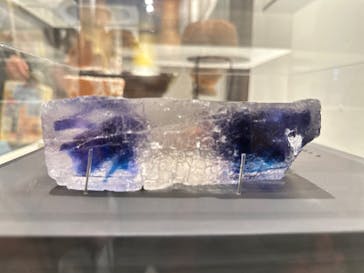 特別展「和食 ～日本の自然、人々の知恵～」に投稿された画像（2024/2/3）