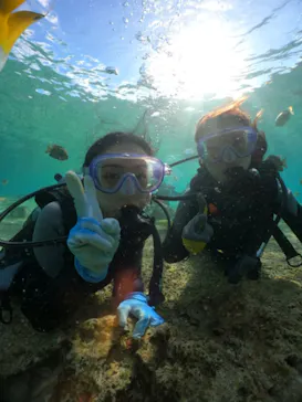 武藤潜水に投稿された画像（2024/2/3）