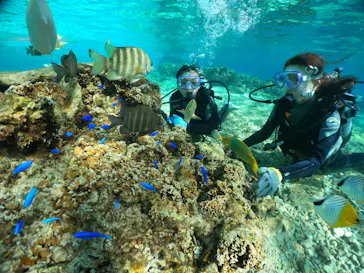 武藤潜水に投稿された画像（2024/2/3）