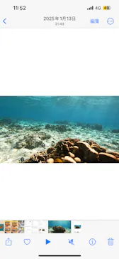 武藤潜水に投稿された画像（2024/2/3）