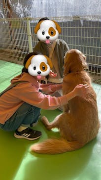 つくばわんわんランドに投稿された画像（2024/2/3）